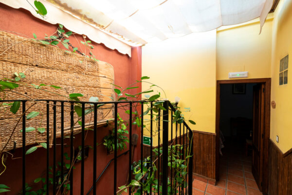 Ciudad de Verdeoliva