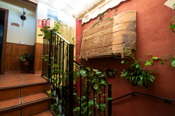 Ciudad de Verdeoliva