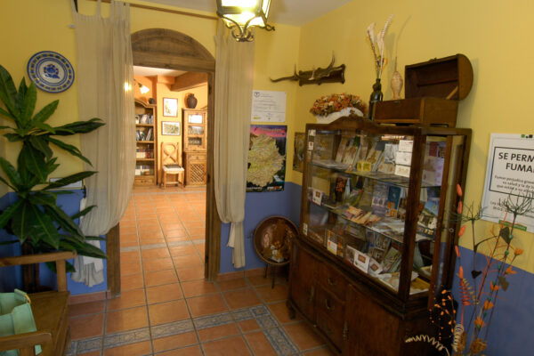 Ciudad de Verdeoliva